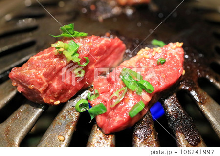 黒毛和牛上ハラミ 108241997