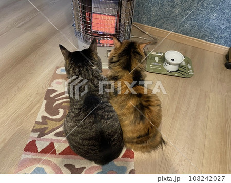 暖をとる猫 暖をとる猫 108242027