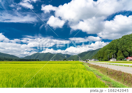 《福島県》田舎の風景・夏の猪苗代 108242045