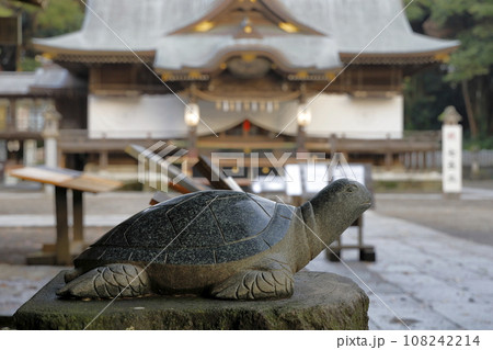宝くじの高額当選で有名な酒列磯前（さかつらいそさき）神社の幸運の亀の石像 108242214
