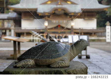 宝くじの高額当選で有名な酒列磯前(さかつらいそさき)神社の幸運の亀の石像 宝くじの高額当選で有名な酒列磯前(さかつらいそさき)神社の幸運の亀の石像 108242215
