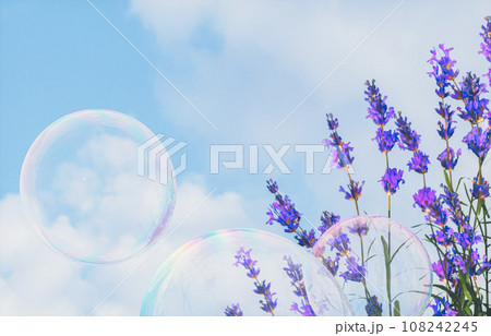 Beautiful lavender flowers and soap bubbles on blue sky background. 3d rendering Beautiful lavender flowers and soap bubbles on blue sky background. 3d rendering 108242245