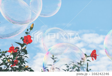 Beautiful hibiscus flowers and soap bubbles on blue sky background. 3d rendering Beautiful hibiscus flowers and soap bubbles on blue sky background. 3d rendering 108242246