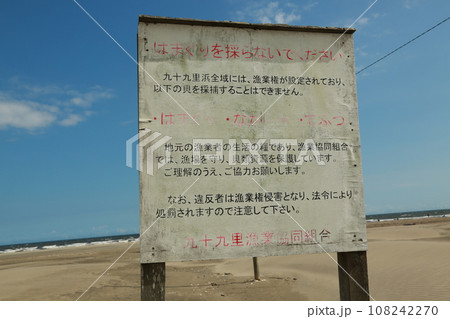 九十九里海岸を歩いた 九十九里海岸を歩いた 108242270