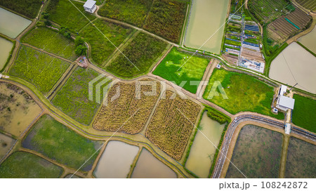 Oct 22 2023 Long Valley, A Verdant Haven in Hong Kong's Natural Landscape 108242872