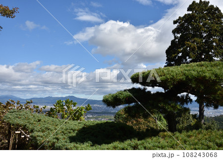 遊龍の松　善峯寺 108243068