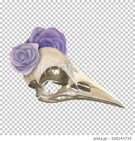 Watercolor illustration of a raven skull and lilac roses.Isolated on a transparent background, hand drawn Watercolor illustration of a raven skull and lilac roses.Isolated on a transparent background, hand drawn 108243735