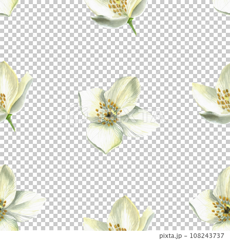 bloom, blossom, flower 108243737