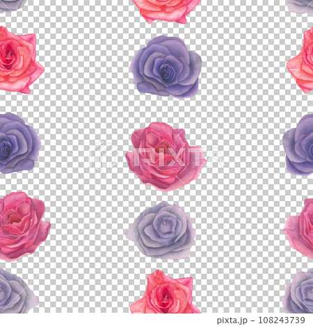 Watercolor illustration of pink and lilac roses - seamless pattern.Isolated on a white background, hand drawn 108243739