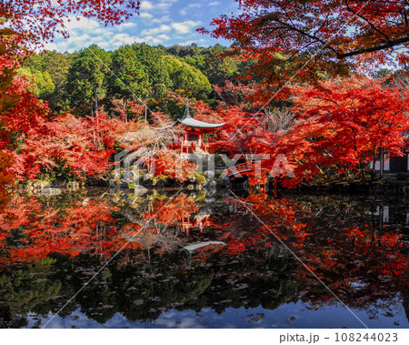 醍醐寺 弁天堂の紅葉(京都市伏見区醍醐) 醍醐寺 弁天堂の紅葉(京都市伏見区醍醐) 108244023