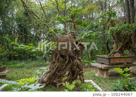 住まい 家庭 自宅 108244067