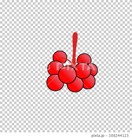 Illustration of red berries from the mountain Illustration of red berries from the mountain 108244123