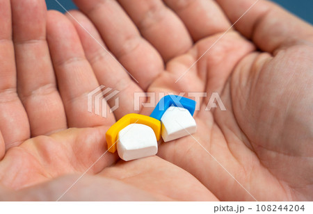 Support ukrainians who have lost their homes. Support for refugees, assistance with housing. Rebuilding of buildings and infrastructure damaged by war. Stand With Ukraine 108244204