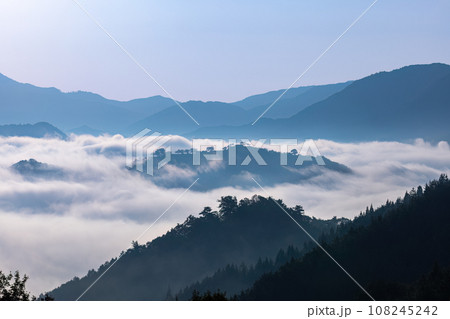 雲海に浮かぶ竹田城跡 108245242