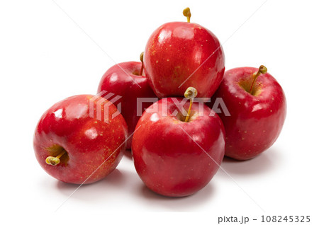姫リンゴ 108245325