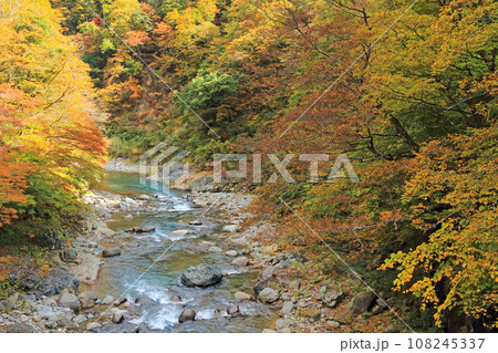 錦秋の秋山郷 前倉橋下流の中津川渓谷 錦秋の秋山郷 前倉橋下流の中津川渓谷 108245337