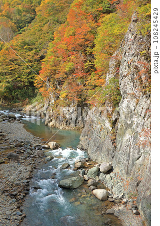 錦秋の秋山郷　前倉橋付近の中津川渓谷 108245429