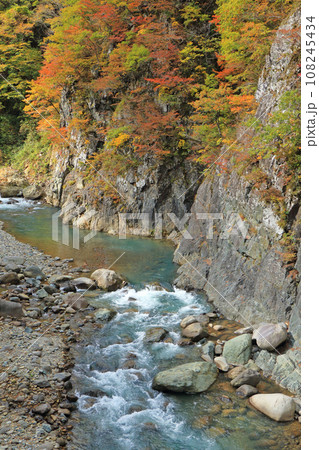 錦秋の秋山郷　前倉橋付近の中津川渓谷 108245434