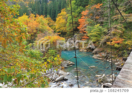 秋山郷の秋　錦秋の見倉橋 108245709