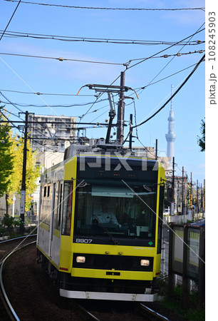 銀杏色づく鉄道風景 都電荒川線の電車 東京スカイツリー 銀杏色づく鉄道風景 都電荒川線の電車 東京スカイツリー 108245903