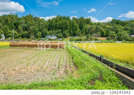 秋の風物詩、稲架掛け【安曇野市】 秋の風物詩、稲架掛け【安曇野市】 108245942