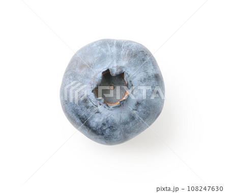 Big blueberry isolated on white background Big blueberry isolated on white background 108247630