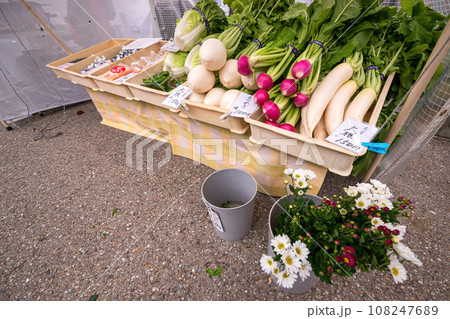 231026宮川朝市s073 108247689