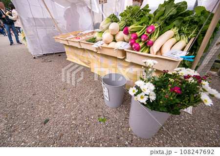 231026宮川朝市s068 108247692