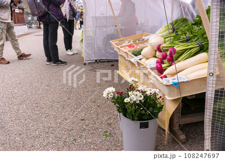 231026宮川朝市z050 108247697