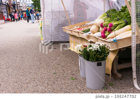 231026宮川朝市z040 231026宮川朝市z040 108247702