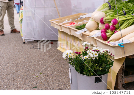 231026宮川朝市z004 108247711