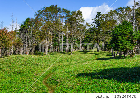 夏の牛奥ノ雁ヶ腹摺山・小金沢山付近の稜線と眺め 108248479