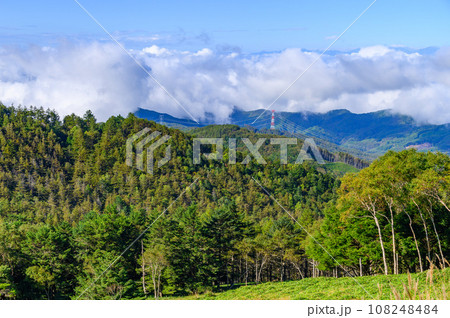 夏の牛奥ノ雁ヶ腹摺山・小金沢山付近の稜線と眺め 108248484