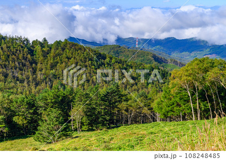 夏の牛奥ノ雁ヶ腹摺山・小金沢山付近の稜線と眺め 108248485