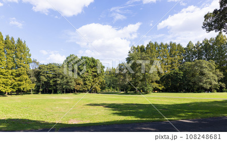 整備された自然豊かな公園 108248681