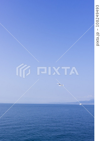 朝空と野鳥(カモメ)　うららかな春空を背景にフェリー航海　(長崎県島原市・熊本県・有明海) 108249493