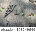 大きな石の上に並べられた小枝や木の実 108249649
