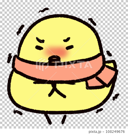 Chick shivering in the cold 108249676