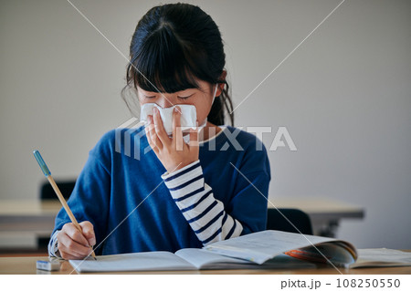 ティッシュで鼻を押さえる小学生の女の子 108250550