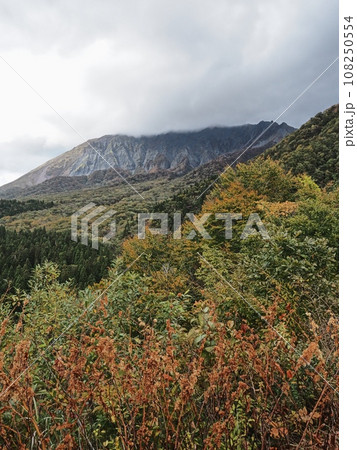 2023年10月の鍵掛峠から見る曇天の大山南壁 108250554