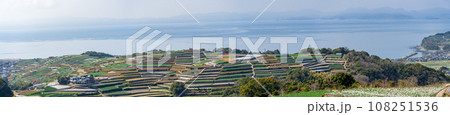 棚畑展望台 　長崎県だんだん畑　観光スポットから観えるパノラマ風景(長崎県雲仙市南串山町) 108251536