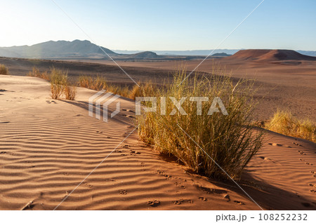 The Namibian Desert near Cha-re 108252232