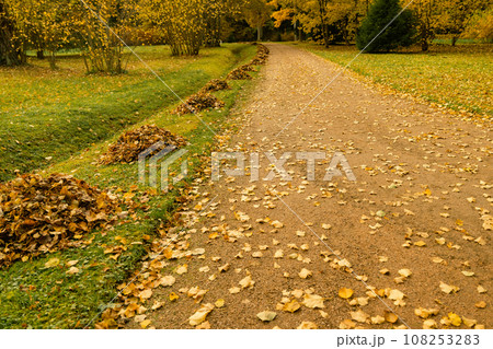 path in the autumn park. fallen leaves are carefully collected in heaps path in the autumn park. fallen leaves are carefully collected in heaps 108253283