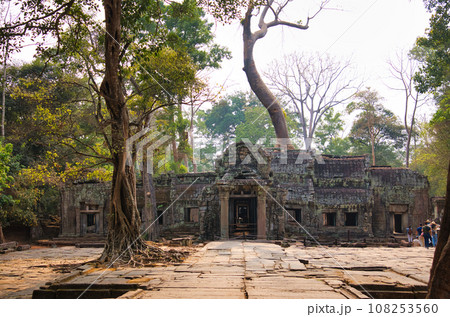 遺跡が長い年月をかけて木に侵食されているタプローム寺院　カンボジア・アンコール遺跡群 108253560