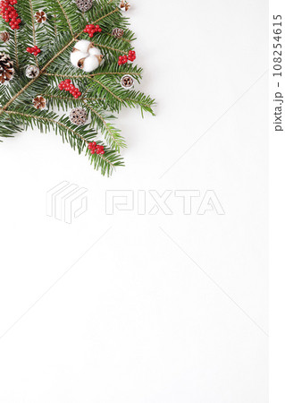 もみの木と木の実のフレッシュなクリスマスツリーのイメージ　白背景　縦 108254615