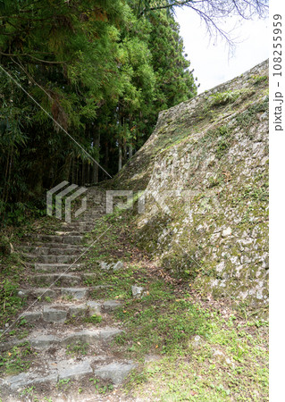 岩村城址の石垣 上部が一番切り立った石垣 岩村城址の石垣 上部が一番切り立った石垣 108255959