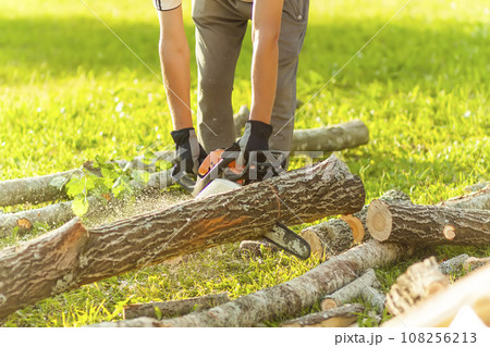 Hands of a man holding a chainsaw and saw logs. 108256213