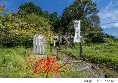 秋の今城址の景色 108256387