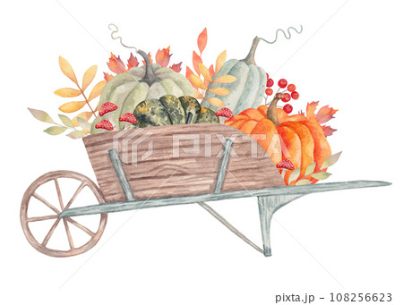 Wooden garden wheelbarrow with different pumpkins and leaves, mushrooms. Autumn botanical arrangement for seasonal holidays and Thanksgiving. Harvest concept. Watercolor hand drawn isolated art Wooden garden wheelbarrow with different pumpkins and leaves, mushrooms. Autumn botanical arrangement for seasonal holidays and Thanksgiving. Harvest concept. Watercolor hand drawn isolated art 108256623