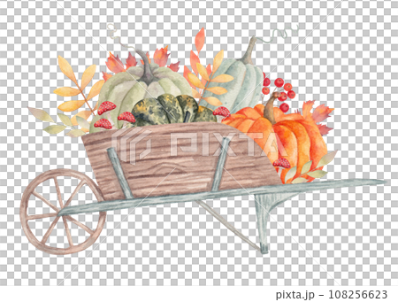 Wooden garden wheelbarrow with different pumpkins and leaves, mushrooms. Autumn botanical arrangement for seasonal holidays and Thanksgiving. Harvest concept. Watercolor hand drawn isolated art Wooden garden wheelbarrow with different pumpkins and leaves, mushrooms. Autumn botanical arrangement for seasonal holidays and Thanksgiving. Harvest concept. Watercolor hand drawn isolated art 108256623